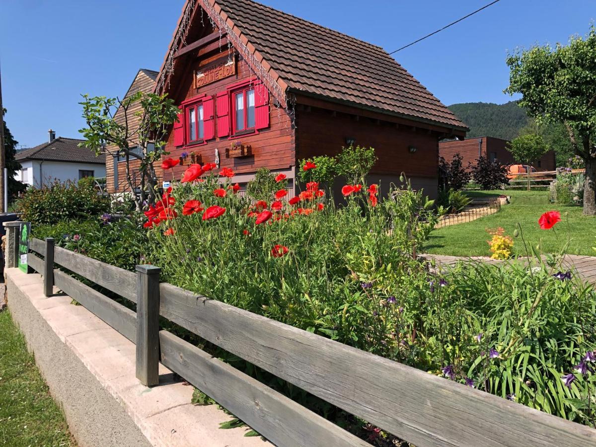 Chalet Colline Et Lou Wintzfelden Bagian luar foto