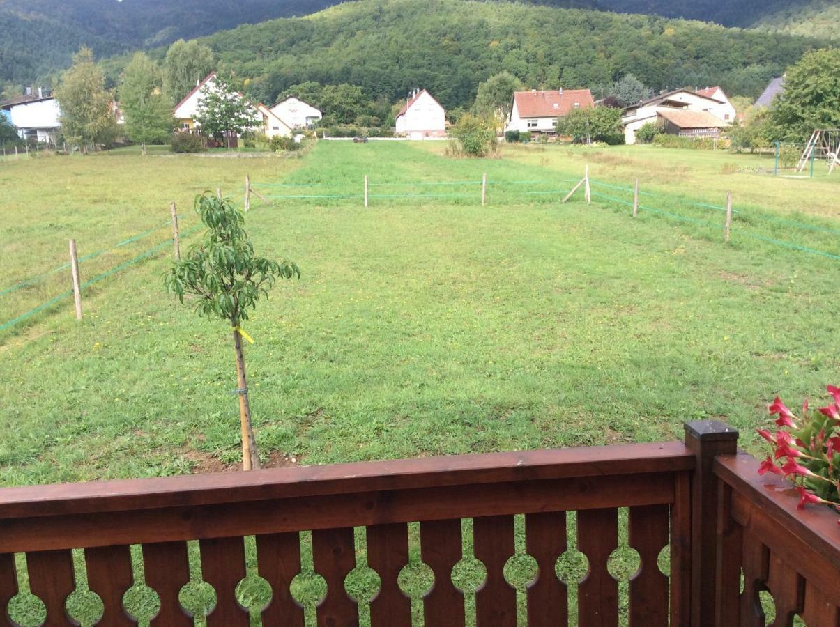 Chalet Colline Et Lou Wintzfelden Bagian luar foto